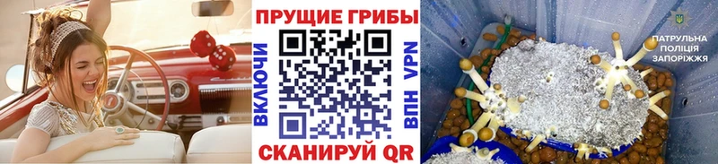 Псилоцибиновые грибы Magic Shrooms  Купить где  Сосногорск 