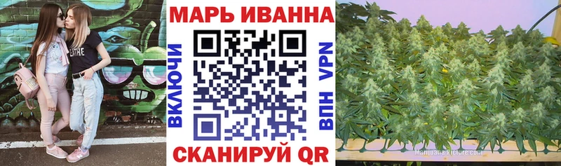 Купить закладки  Сосногорск  Конопля LSD WEED 